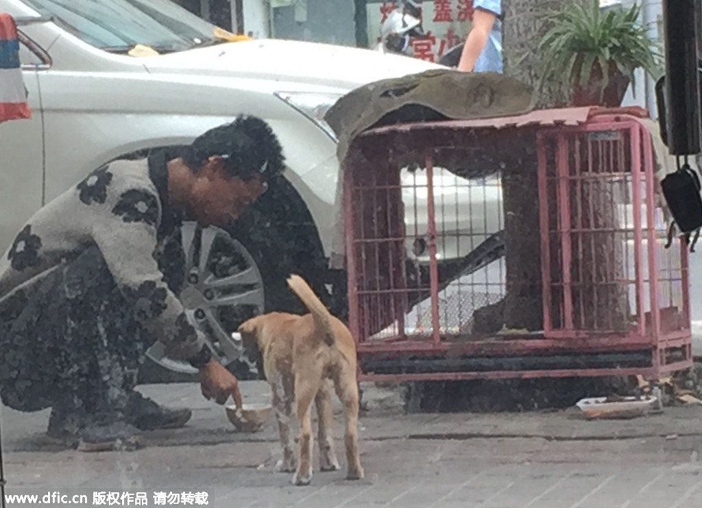 南京一男子逗狗 吃光狗碗里的蒸鸡蛋