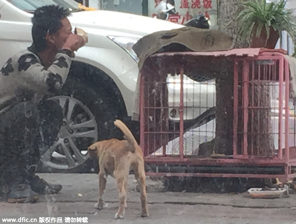 南京一男子逗狗 吃光狗碗里的蒸鸡蛋