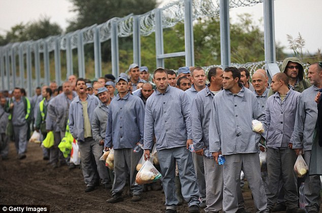 匈牙利警察向难民抛投食物 被批如同“喂动物”