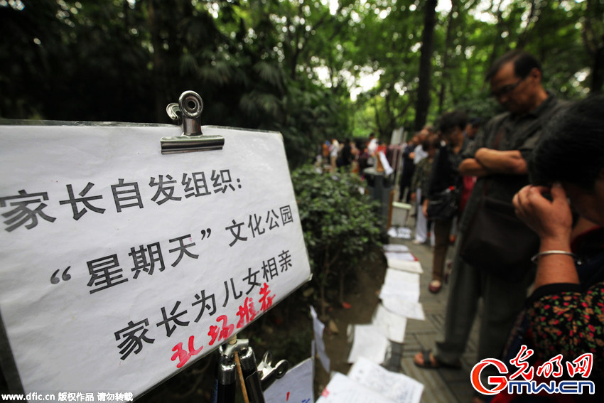 成都大龄青年相亲场面壮观如赶集 父母成“主角”