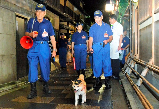 日本消防犬“可可”爆红网络