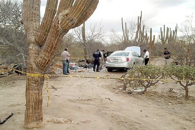 揭秘墨西哥头号女毒枭：涉嫌180起谋杀案