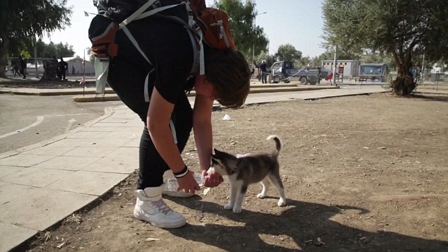 17岁难民带宠物狗逃亡500公里 不舍抛弃