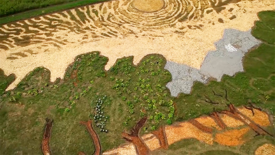 64岁艺术家大地作梵高名画