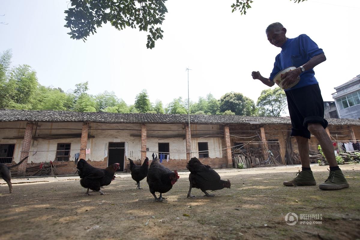 朝鲜的总人口有多少_在日朝鲜人韩国使馆前示威 分析称为表忠诚(2)