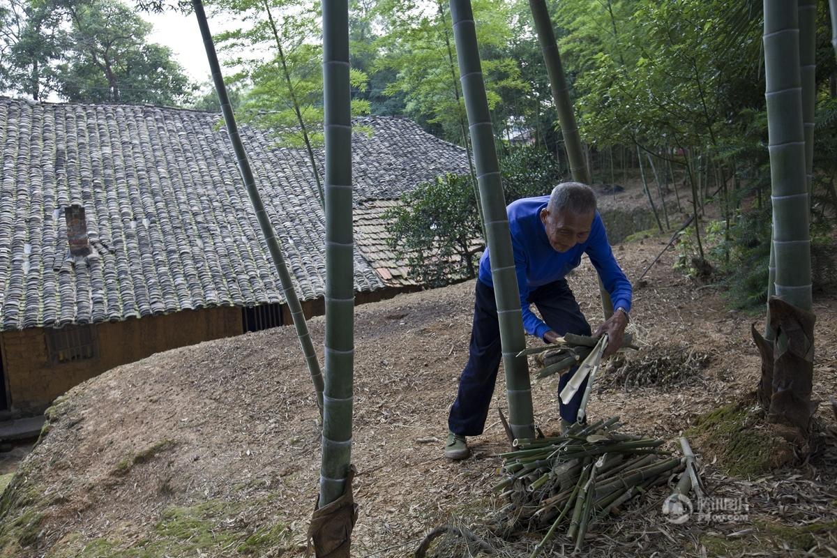 中国人的一天：抗美援朝老兵