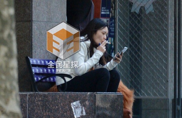 王菁何炅恋情曝光疑备孕 揭秘体娱圈隐秘恋情
