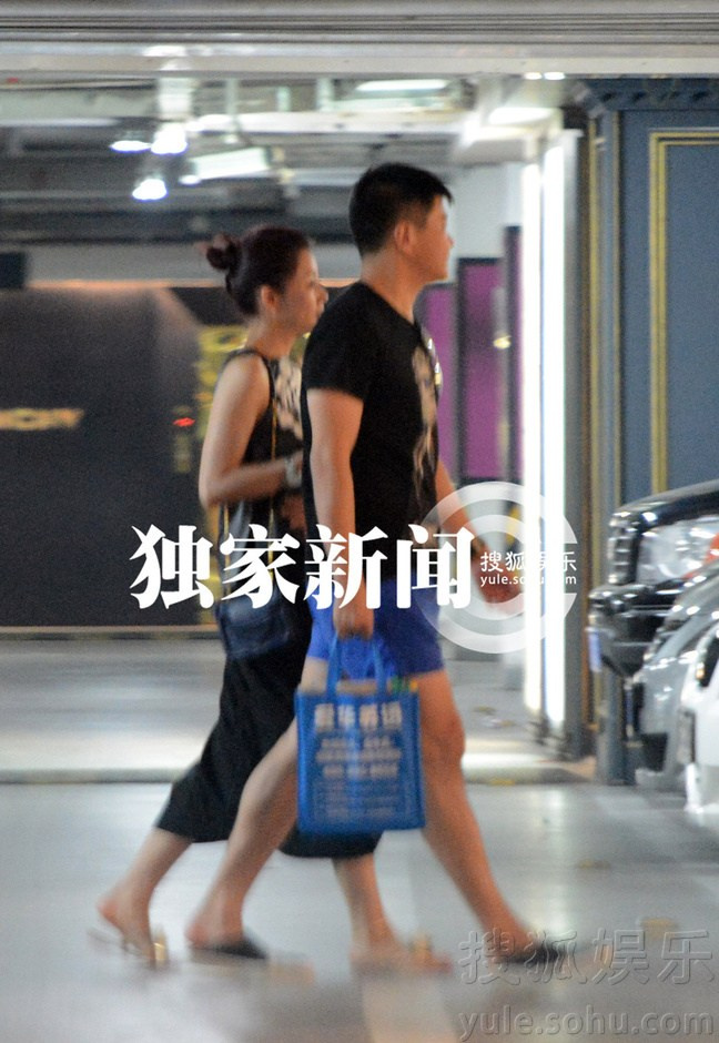 王菁何炅恋情曝光疑备孕 揭秘体娱圈隐秘恋情
