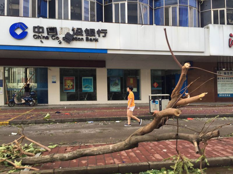 “彩虹”袭击后湛江全市受损严重 市民开始清理