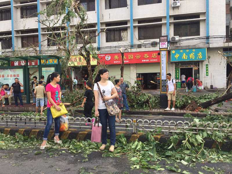 “彩虹”袭击后湛江全市受损严重 市民开始清理