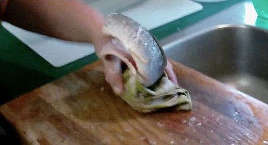 曝广州餐馆现“僵尸鱼” 炖熟后仍在拍打鱼鳍