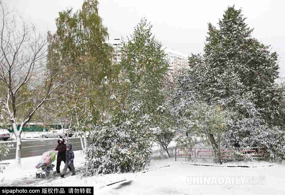 寒冬将至 莫斯科迎来初雪