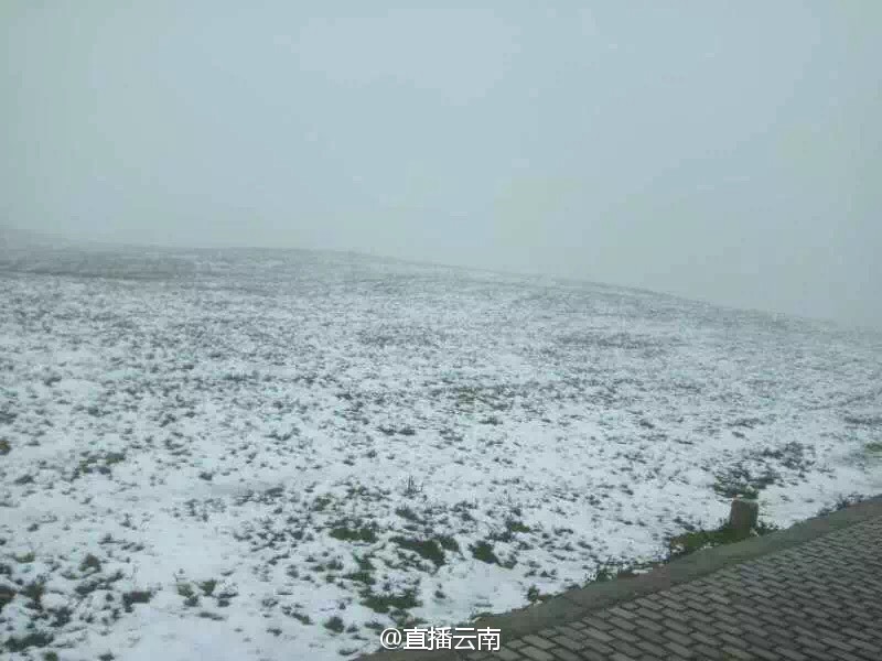 云南多地开启“下雪模式”