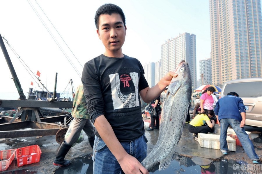 青岛秋季海捕大对虾成“珍品” 4只售260元