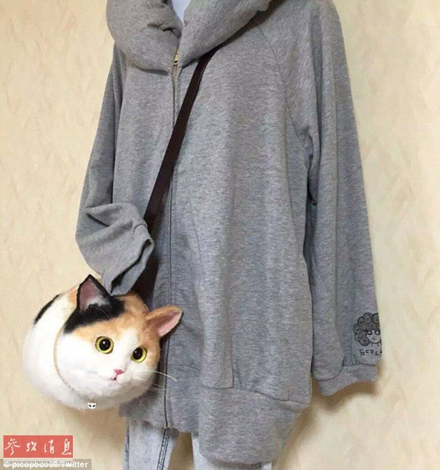 猫咪手袋风靡日本 形象逼真价格超真猫