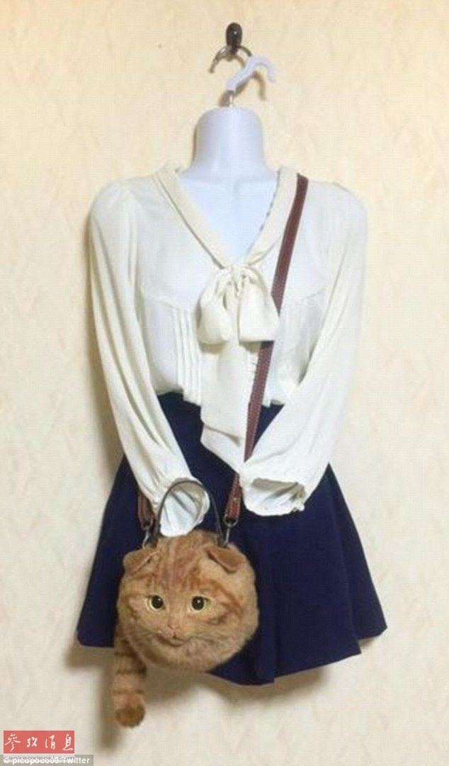 猫咪手袋风靡日本 形象逼真价格超真猫