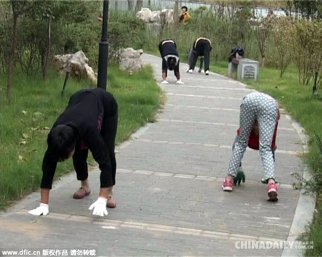 郑州公园惊现爬行锻炼 远看似真人版“植物大战僵尸”