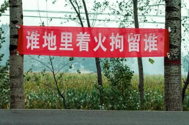 河南打击焚烧秸秆 雷人标语频现