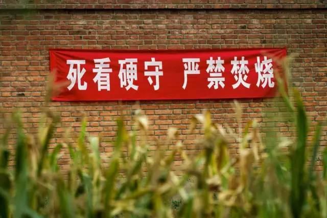 河南打击焚烧秸秆 雷人标语频现