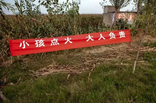 河南打击焚烧秸秆 雷人标语频现