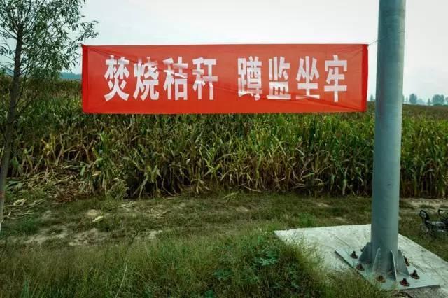 河南打击焚烧秸秆 雷人标语频现