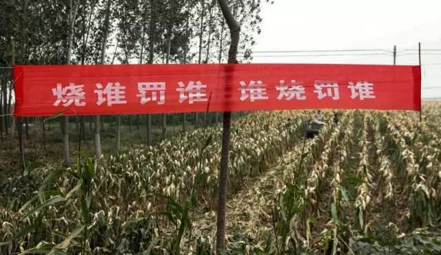 河南打击焚烧秸秆 雷人标语频现