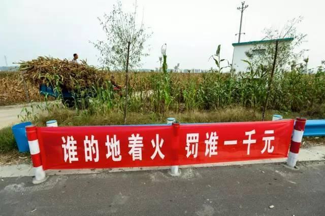 河南打击焚烧秸秆 雷人标语频现