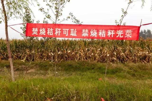 河南打击焚烧秸秆 雷人标语频现
