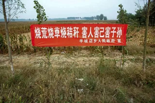 河南打击焚烧秸秆 雷人标语频现