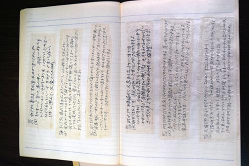 日本神秘猫咪当信使 送八百封信揭尘封过往
