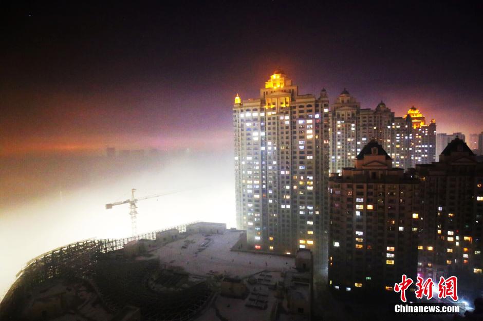 哈尔滨“大雾袭城” 多条高速关闭117个航班取消