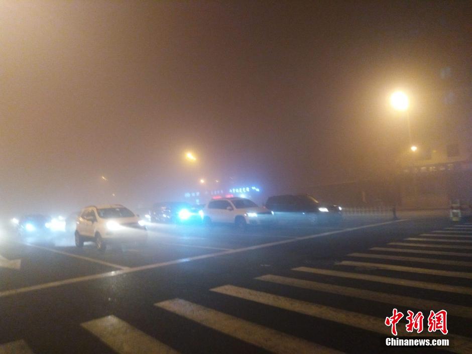 哈尔滨“大雾袭城” 多条高速关闭117个航班取消