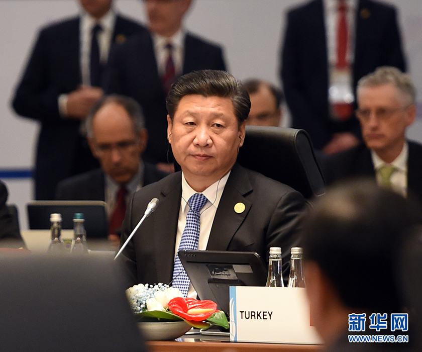 习近平出席二十国集团领导人第十次峰会第一阶段会议