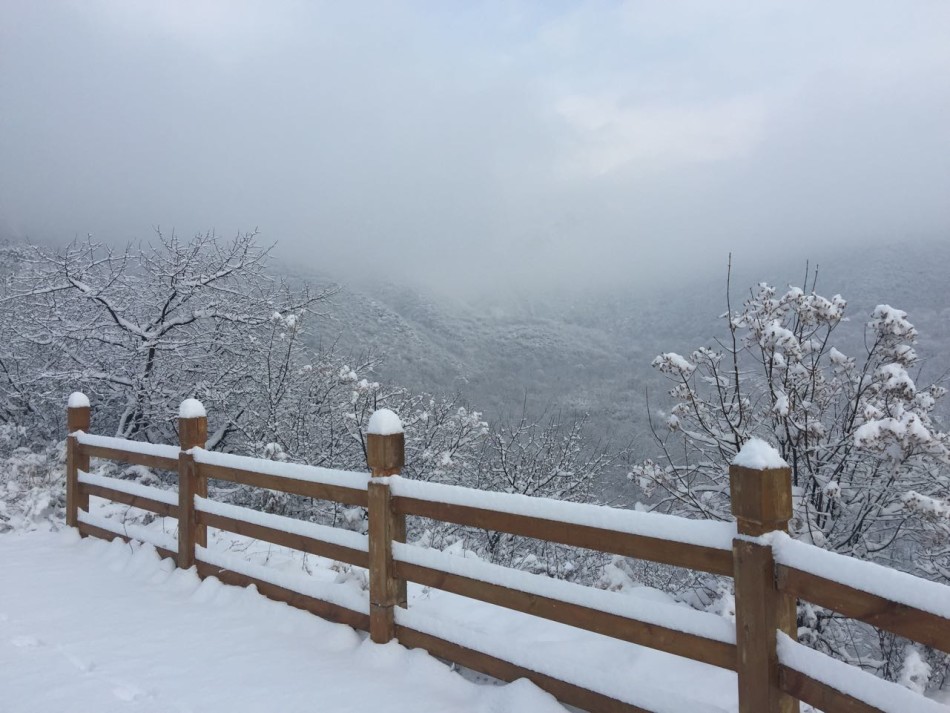 北京将迎持续降雪 预计雪深超15厘米