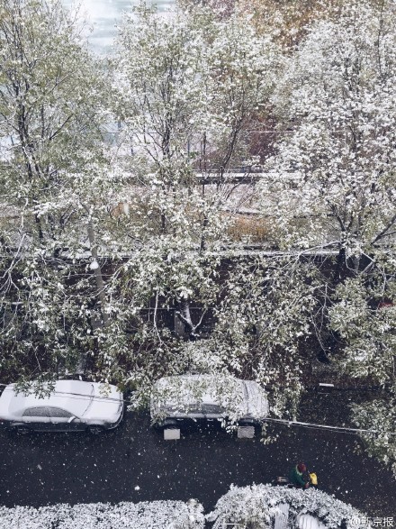 北京大到暴雪持续 下周气温跌破极值