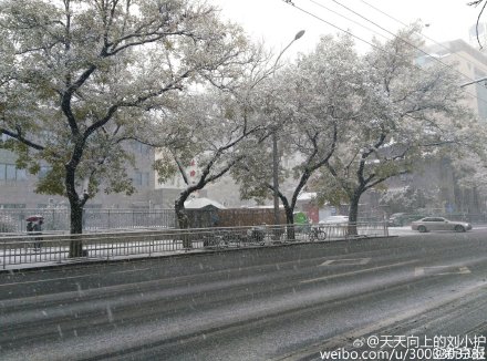 北京大到暴雪持续 下周气温跌破极值