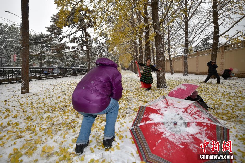 北京大范围降雪 市民银杏大道享雪趣