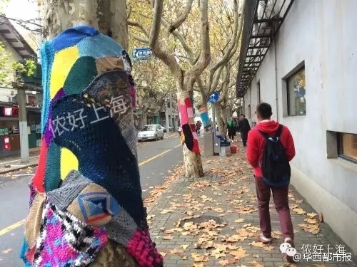上海街头多棵梧桐树“穿”上毛衣 网友戏称“萌萌哒”