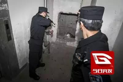 杭州一小区突现野猪 在楼道内被击毙