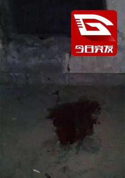 杭州一小区突现野猪 在楼道内被击毙
