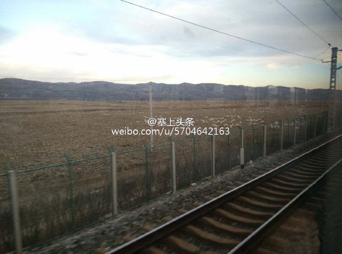 陕西火车撞上羊群紧急停车 列车晚点乘客无人伤
