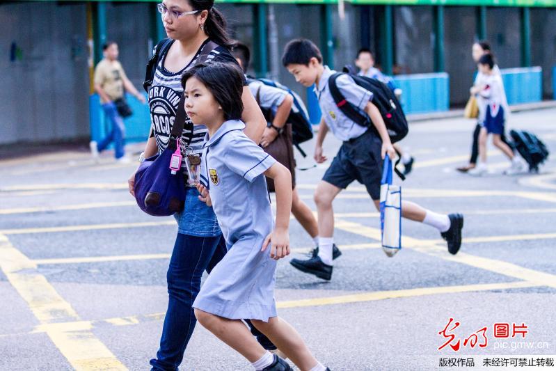 香港小学生功课负担沉重家长陪伴上学帮背书包