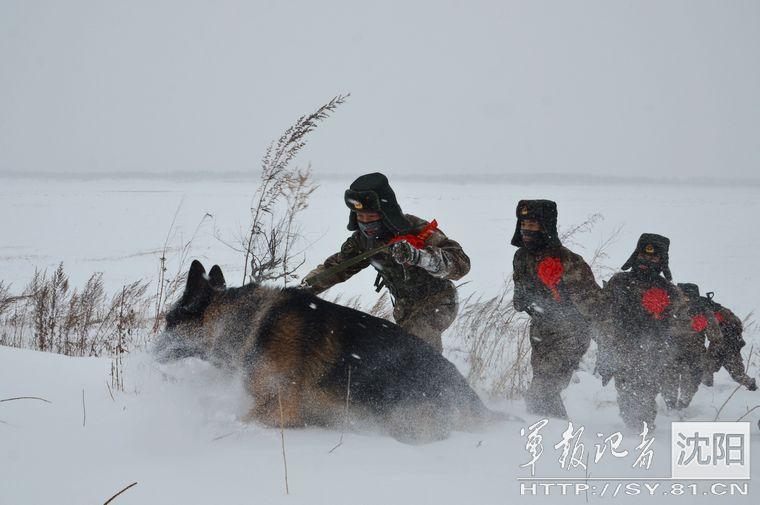 边防老兵最后巡逻：满面雪花 积雪埋脚