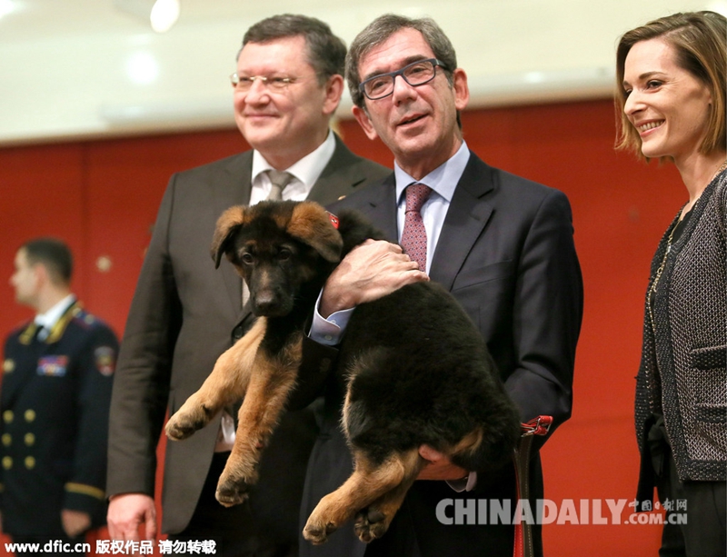 俄赠警犬向法国殉职警犬致敬 表达反恐决心