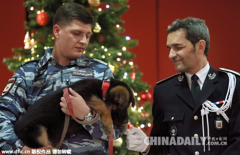 俄赠警犬向法国殉职警犬致敬 表达反恐决心