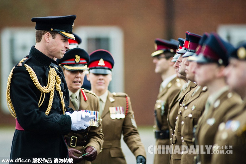威廉王子为英军抗击埃博拉医务人员颁发奖章