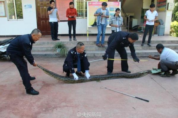 修公路现百岁蟒蛇 盘点“成精”动物