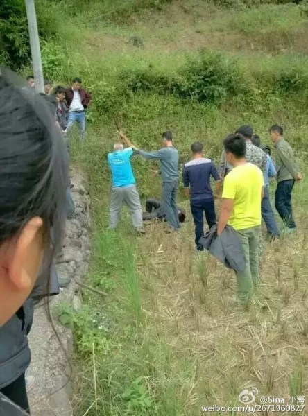 广西2男子偷狗被打1死1伤 村民在伤口上撒盐