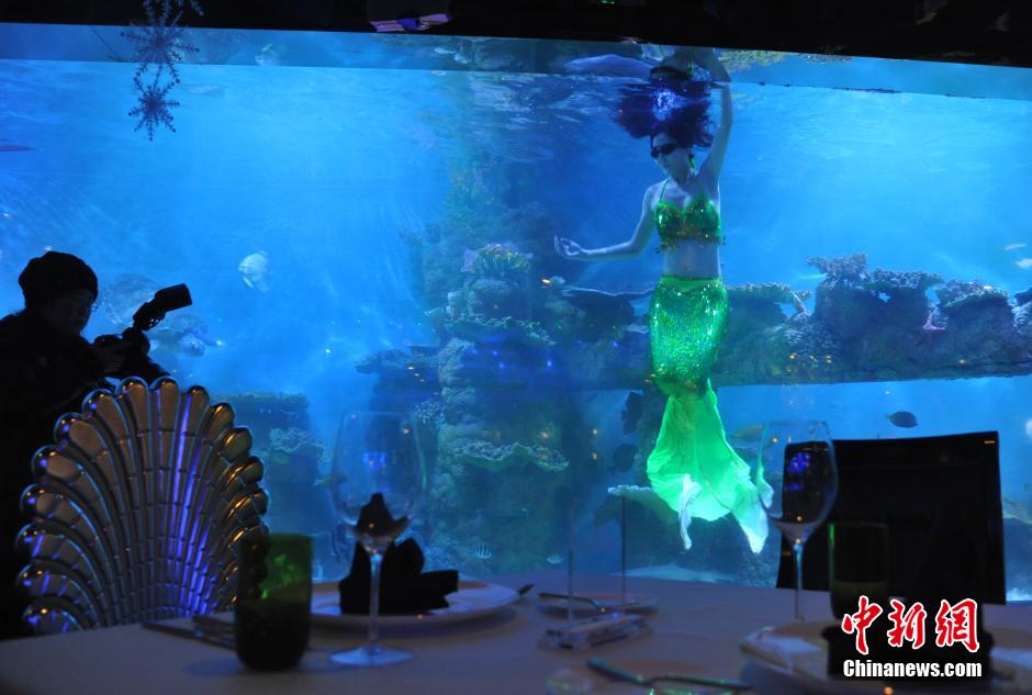 海底餐厅亮相合肥 与“美人鱼”餐前约会