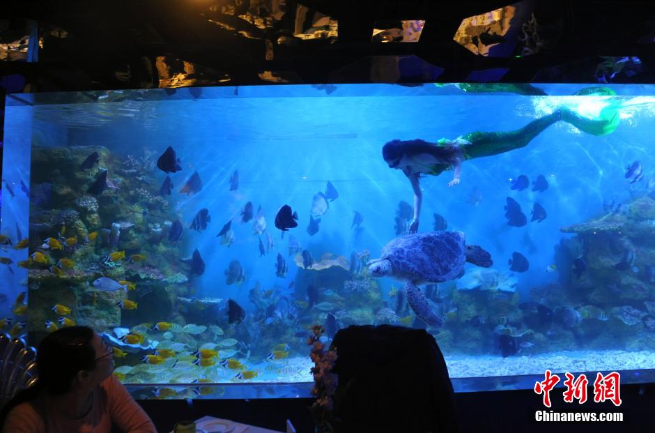 海底餐厅亮相合肥 与“美人鱼”餐前约会